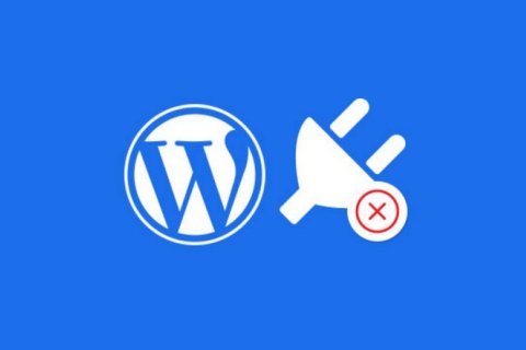 根据另一个插件的激活状态停用 WordPress 插件